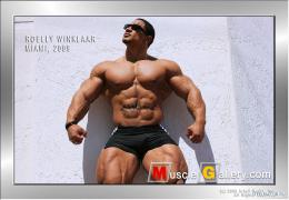 roelly_03.jpg