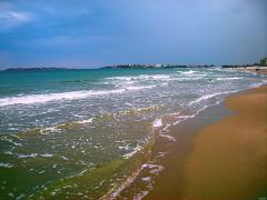 DSCN4620.jpg