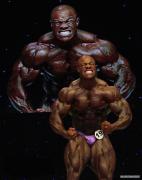 2009_mr_olympia277_20091019_2044025895.jpg