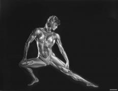 BB_Cory_Everson_Whole.jpg