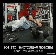 x_6b11e282.jpg