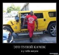 x_5655be55.jpg