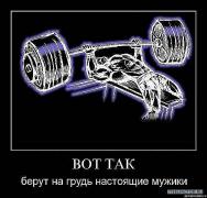 x_68772c66.jpg