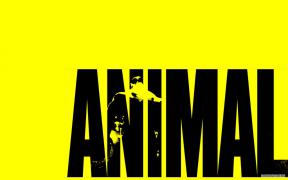 AnimalIconicYellow.jpg