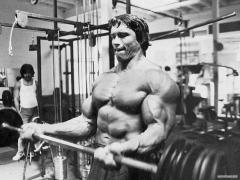 Arnold_Schwarzenegger_Bodybuilding_Wallpapers_3.jpg