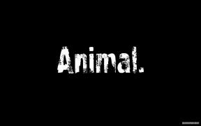 Animal.jpg