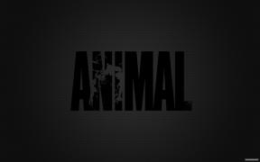 animal2.jpg