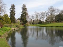 IMG_1135.JPG