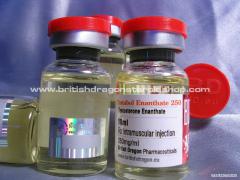 British_Dragon_Testabol_enanthate_250800x600.jpg