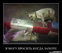 1307000505_ya_mogu_brosit_kogda_zahochu.jpg