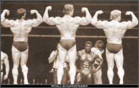 scan_arnold-schwarzenegger_0006.jpg