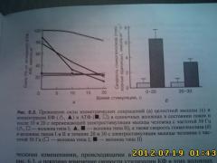 IMG0048.jpg