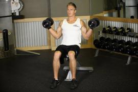 Biceps_519_adbe673.jpeg