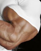 Biceps_1303455051.jpg