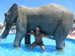 IMG_0297.JPG