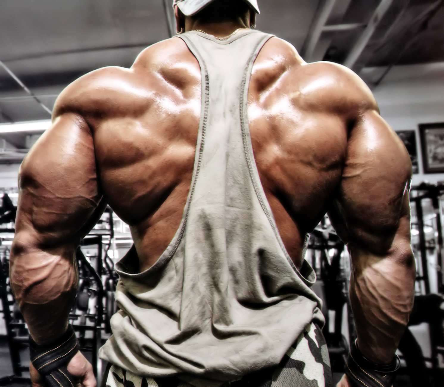 Roelly Winklaar Wallpaper