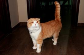 IMG_1749.JPG