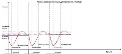 Фулбади 2ф.JPG
