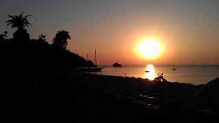 IMAG0566.jpg