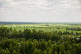 DSC_2417.jpg