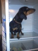 IMG042.jpg