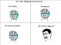 dlyakota.ru_foto-prikoly_komiksy_11.jpeg