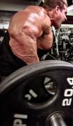 JayCutler-MD-Aug13-PerBernal-931.jpg