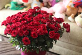 IMG_0236.JPG