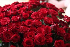 IMG_0230.JPG