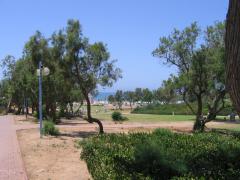IMG_0484.jpg