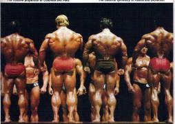 81_O_relaxed_rear.jpg