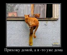 1372130831_045_8.jpg