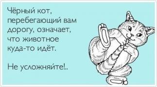1583831_original.jpg