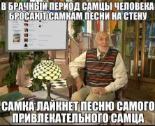 0_fcf92_906e22ae_orig.jpg