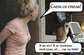 0_fe98b_9de081f5_orig.jpg
