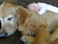 23_09adae3517d2b7da7530c03bc707ba61.jpg