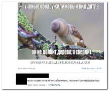 setey-socialnyh-kommentarii-citaty-vkontakte-vkontakte-smeshnye-statusy_8784248945.jpg
