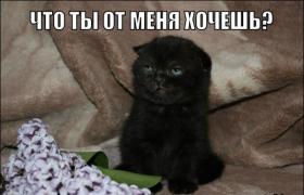 0_fcf97_39f1d1ca_orig.jpg