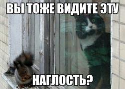 yumora-nemnogo-kartinki-smeshnye-kartinki-fotoprikoly_4351206820.jpg