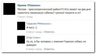 setey-socialnyh-kommentarii-citaty-vkontakte-vkontakte-smeshnye-statusy_681025731.jpg