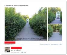 setey-socialnyh-kommentarii-citaty-vkontakte-vkontakte-smeshnye-statusy_5825739531.jpg