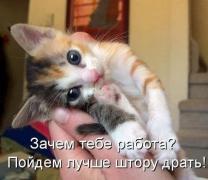 0_fddbe_12c5b368_orig.jpg