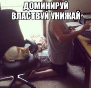 0_102275_88744f6f_orig.jpg