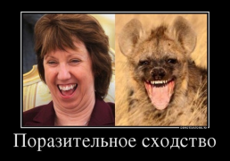 1405587101_205771889.png
