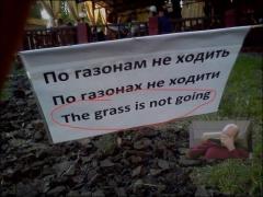 nadpisi-26072014-006.jpg