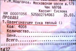chek-019.jpg