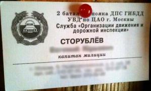 1405237020_storublev.jpg