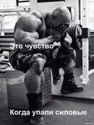 B1tjdlYc6hU.jpg