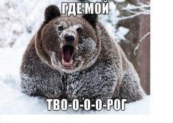 vZ8pxSGqGpw.jpg