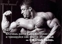 8pZLijVPo4o.jpg